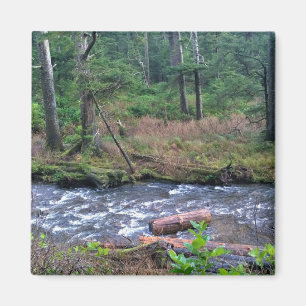 Aimant Oswald West State Park, Oregon Coast