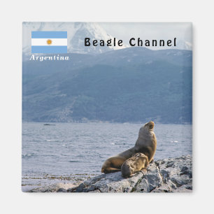 Aimant Otaries dans le canal de Beagle - Argentine