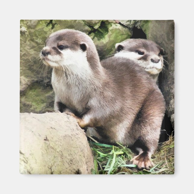 AIMANT OTTERS (Devant)