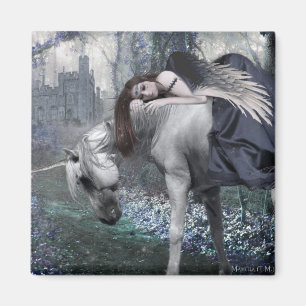 Aimant Où la magie coule