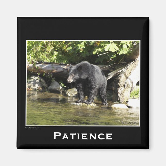 Aimant Ours de la faune Amoureux des animaux Design (Devant)