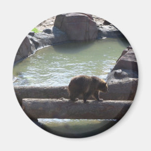 Aimant Ours gris