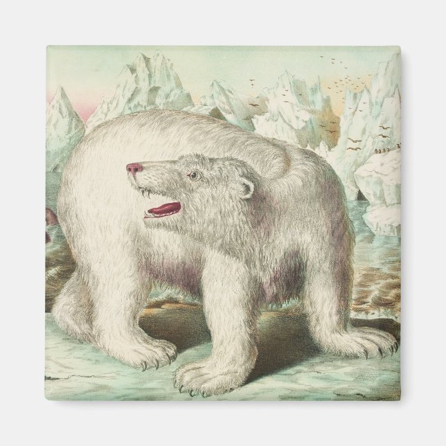 Aimant Ours polaire vintage (Devant)