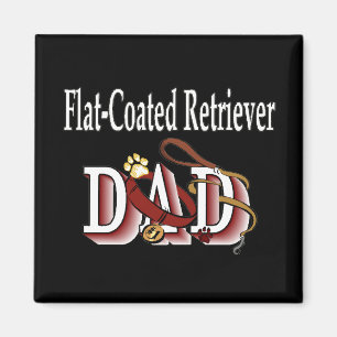 Aimant outil de récupération à revêtement plat papa Magne