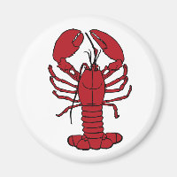 Ouvreur de bouteille nautique de plage de homard