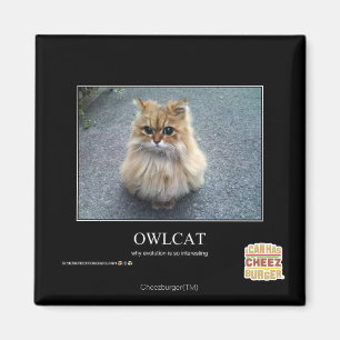 Aimant Owlcat