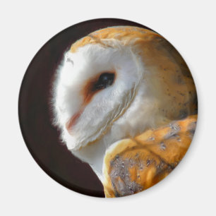 AIMANT OWLS
