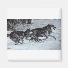 Pack de loups courant à travers la neige