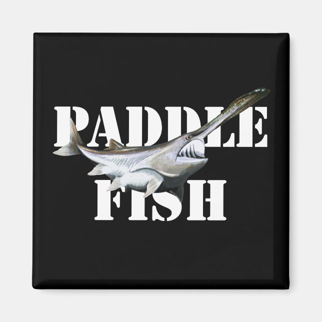 Aimant Paddle (Devant)