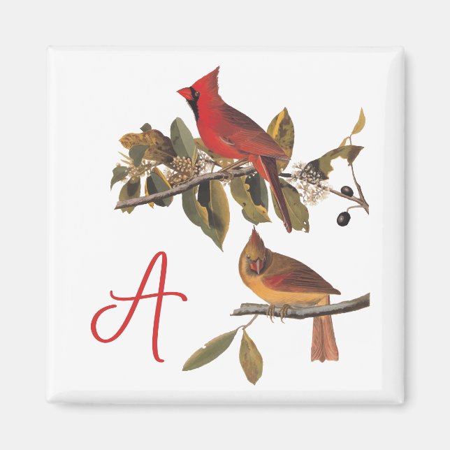 Aimant Paire cardinale Audubon en amandiers sauvages (Devant)