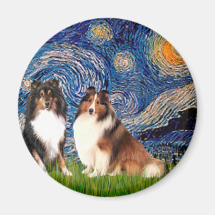 Aimant Paire Shetland Sheepdog - Nuit étoilée