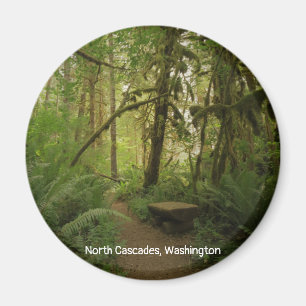 Aimant Paisible Green Forest Trail à Washington