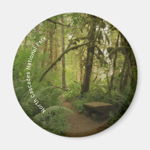 Aimant Paisible Green Forest Trail à Washington