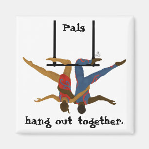 Aimant Pal