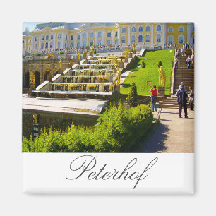 Aimant Palais Peterfhof Saint Petersburg Russie