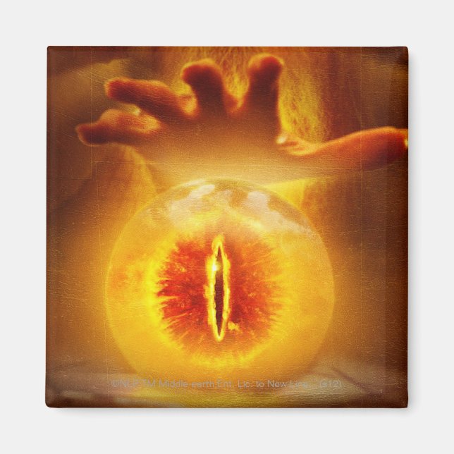 AIMANT PALANTIR™ (Devant)