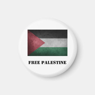 aimant Palestine