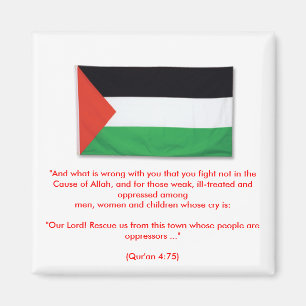 Aimant PalestineFlagBig08, "et ce qui est erroné avec