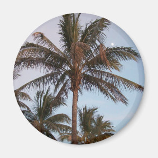 Aimant Palm Gets Moonés
