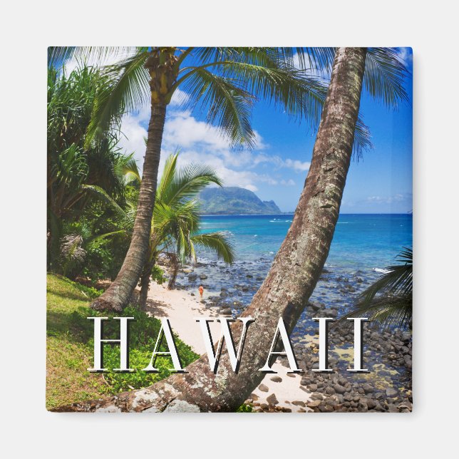 Aimant Palm Trees Along Hideaways Beach (Devant)