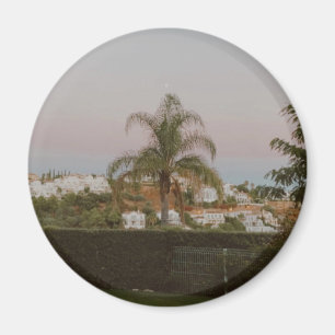 Aimant Palmier de Benhavis, Marbella, Andalousie, Espagne