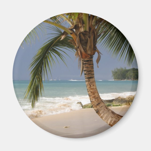 Aimant palmier exotique sur la plage (Devant)