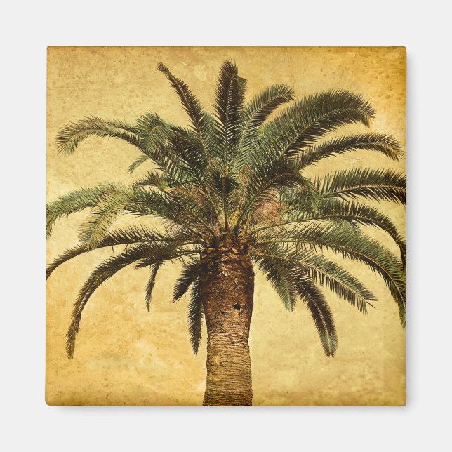 Aimant Palmier vintage - Modèle Customisé tropical (Devant)