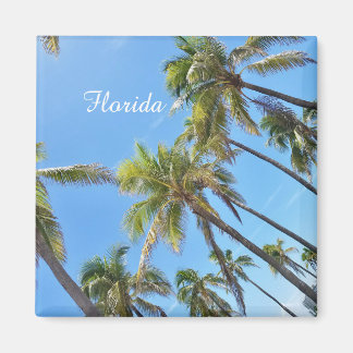 Aimant Palmiers de Floride
