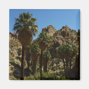 Aimant Palms perdus Oasis I au parc national de Joshua Tr