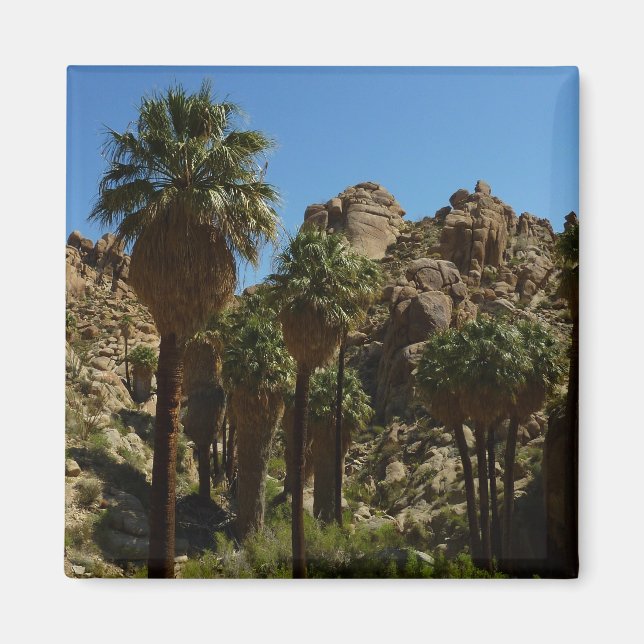 Aimant Palms perdus Oasis I au parc national de Joshua Tr (Devant)