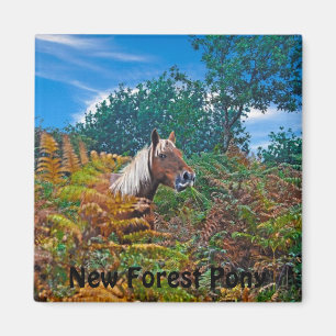 Aimant Palomino New Forest Pony Cheval-amant cadeau