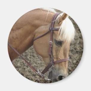 Aimant Palomino occidental