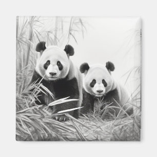 Aimant Panda Animal Discovery Wild Nature Enk croquis Art