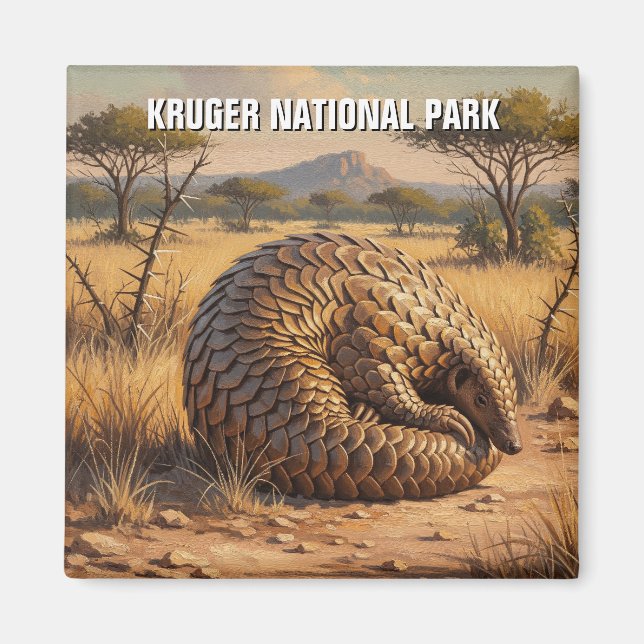 Aimant Pangolin dans le parc national Kruger Afrique du S (Devant)
