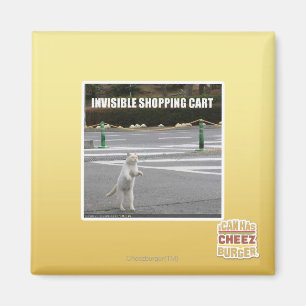 AIMANT PANIER INVISIBLE