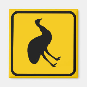 Aimant Panneau magnétique Emu Xing