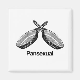 Aimant Pansexuel -
