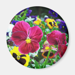 Aimant Pansies colorées