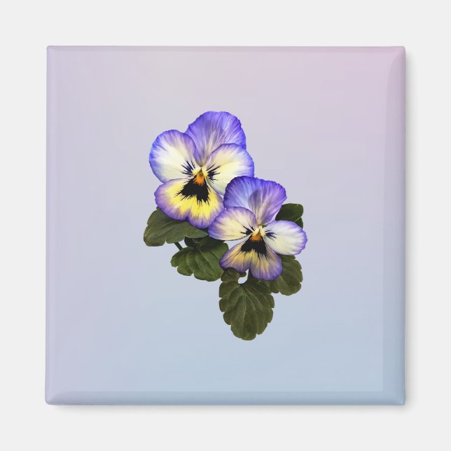 Aimant Pansy duo (Devant)