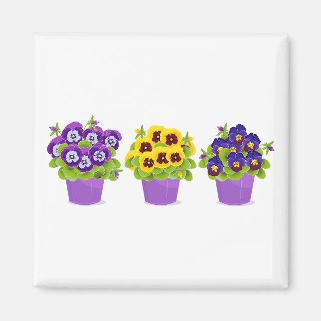 Aimant Pansy, Pansies, Garden (Devant)