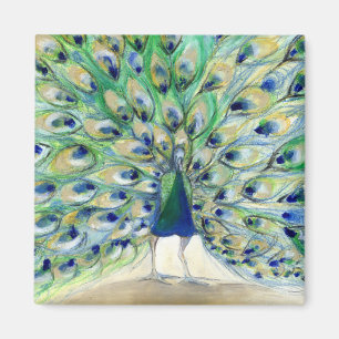 Aimant Paon à San Diego 2 2013