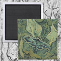 Paon vert (Empereur) papillon de nuit par Vincent 