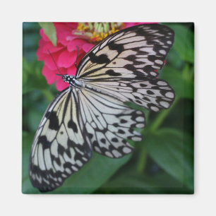 Aimant Paperkite papillon