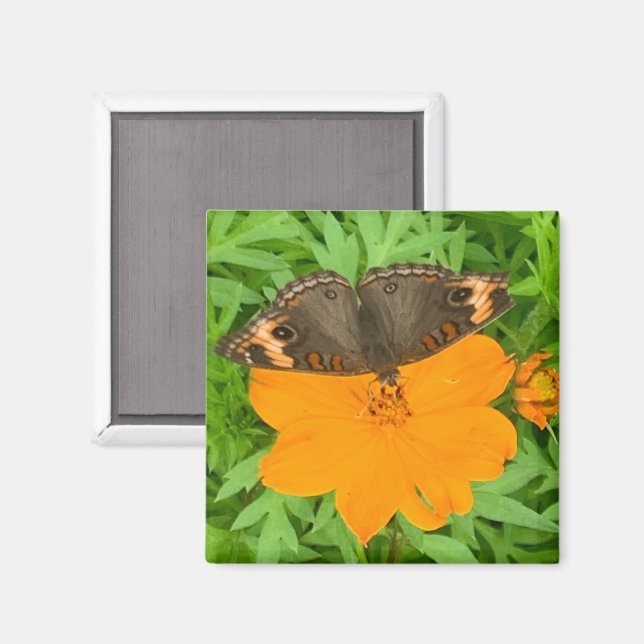 Aimant Papillon (Recto/Verso)
