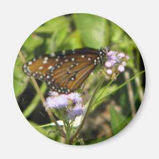 Aimant Papillon atterrit sur une Fleur