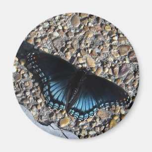 Aimant Papillon bleu