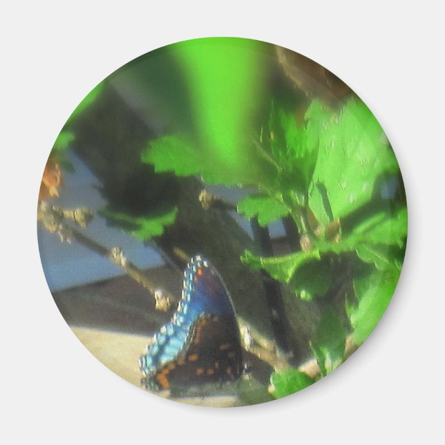 Aimant Papillon bleu (Devant)