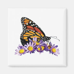 Aimant Papillon de monarque sur l'aster