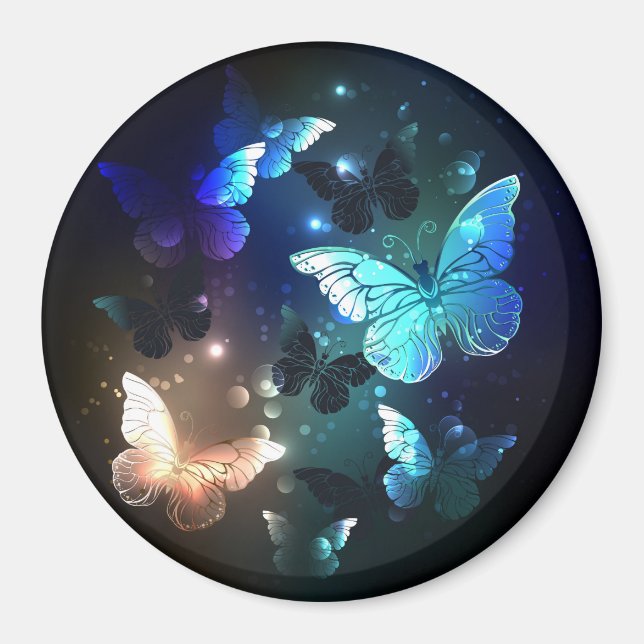 Aimant Papillon de nuit (Devant)