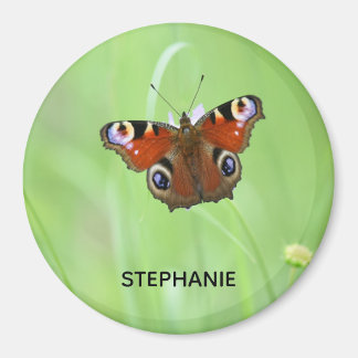 Aimant Papillon de Peacock
